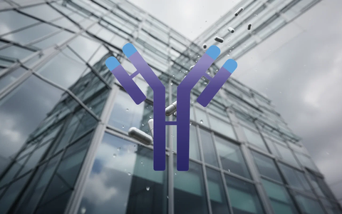 Immunovant: Insider verkaufen 72.141 Aktien in 90 Tagen - Foto: über boerse-global.de