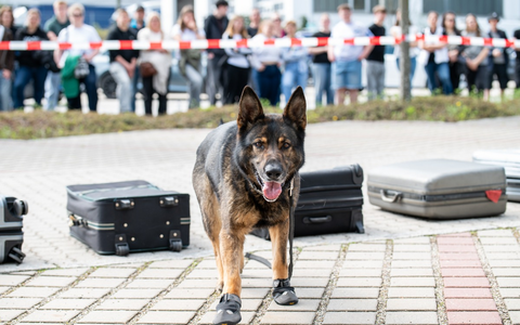 HZA-R: Kein Liebesbrief im Gepäck - Zollhund Cessy entdeckt zahlreiche Drogen / Zöllner der Kontrolleinheit Verkehrswege Furth im Wald stellten bei einer Zugkontrolle verschiedene Drogen sicher - Foto: presseportal.de