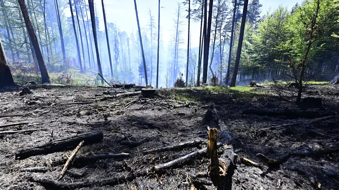Der Brand im Nationalpark Böhmische Schweiz ist nicht unter Kontrolle. - Bild: Hájek Ondøej/CTK/dpa