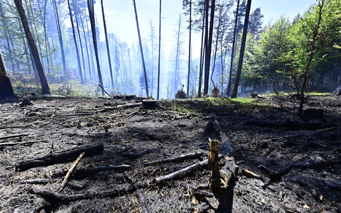 Der Brand im Nationalpark Böhmische Schweiz ist nicht unter Kontrolle. - Foto: Hájek Ondøej/CTK/dpa