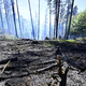 Der Brand im Nationalpark Böhmische Schweiz ist nicht unter Kontrolle. - Foto: Hájek Ondøej/CTK/dpa