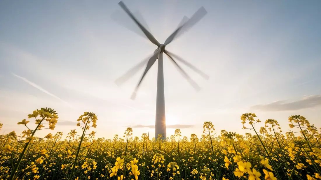 Vestas: Bericht am 6. Mai mit Gewinnsprung - Bild: über boerse-global.de