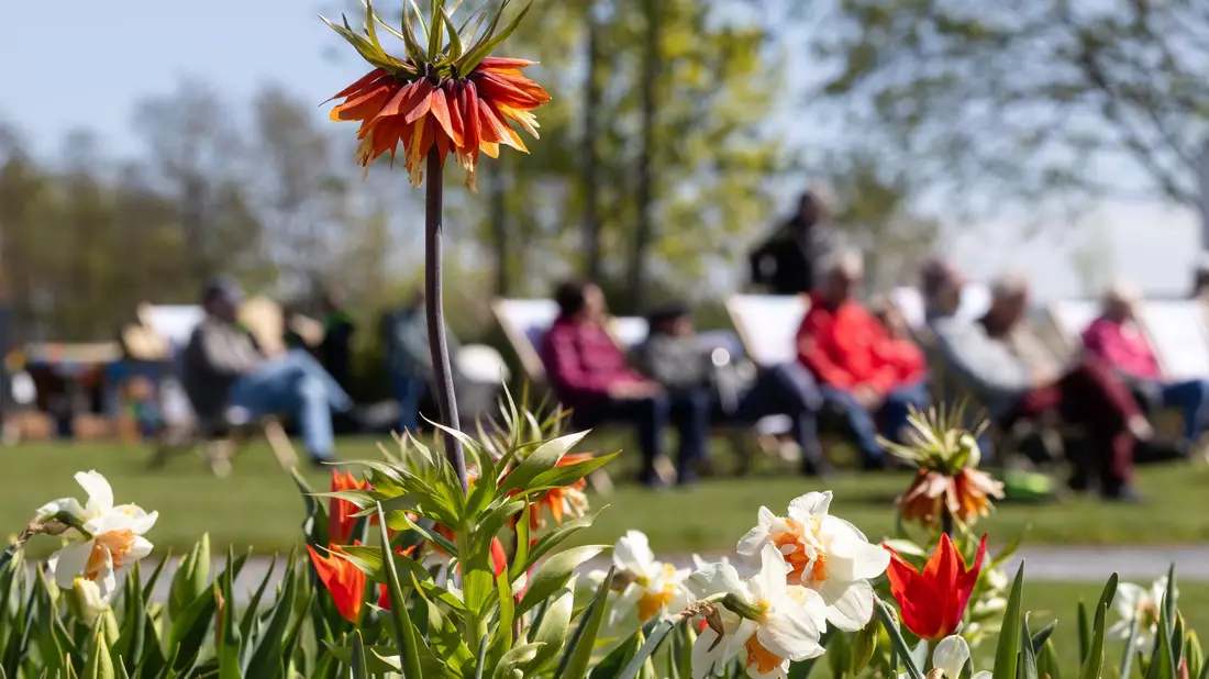 Zwischen Sonne und Schauern zeigt sich der Frühling wechselhaft. (Archivbild) - Bild: Michael Reichel/dpa