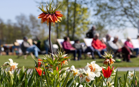 Zwischen Sonne und Schauern zeigt sich der Frühling wechselhaft. (Archivbild) - Foto: Michael Reichel/dpa