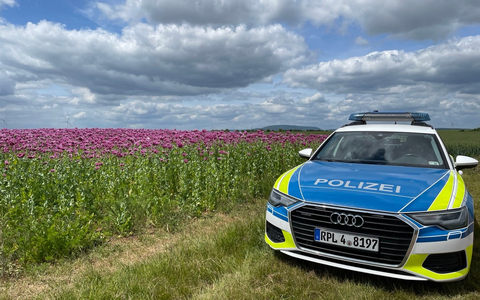POL-PDNW: Betrunkener stiehlt E-Scooter - Foto: presseportal.de