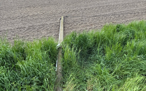 POL-COE: Ascheberg, Ostereckern/Telefonmast beschädigt und geflüchtet - Foto: presseportal.de