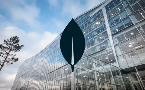 MongoDB: 74 Millionen für Irland-Expansion - Foto: über boerse-global.de