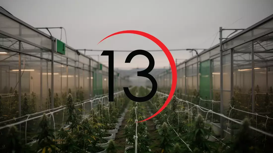 Planet 13 Holdings: Keine nennenswerten Impulse - Bild: über boerse-global.de