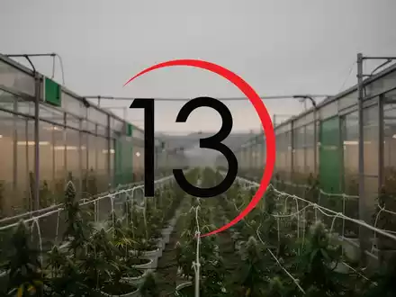 Planet 13 Holdings: Keine nennenswerten Impulse - Foto: über boerse-global.de