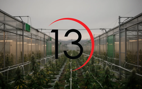 Planet 13 Holdings: Keine nennenswerten Impulse - Foto: über boerse-global.de