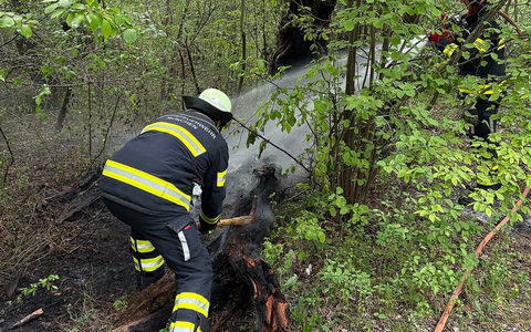 FW-M: Feuer in der Aubinger Lohe dank Drohne schnell gelöscht (Lochhausen) - Foto: presseportal.de