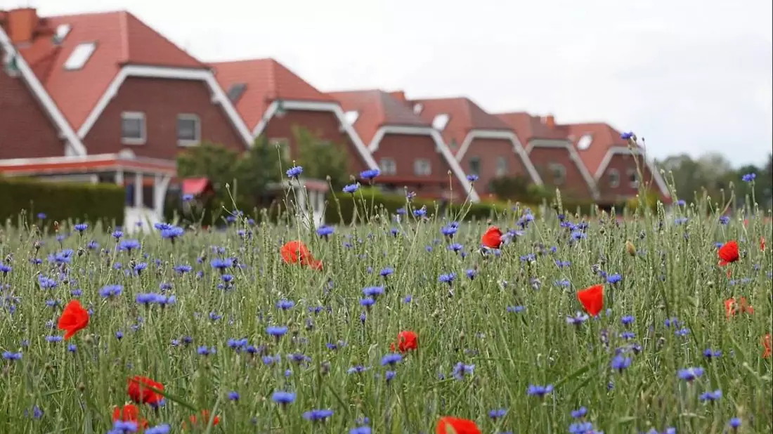 Neubausiedlung (Archiv) - Bild: via dts Nachrichtenagentur