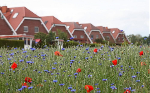 Neubausiedlung (Archiv) - Foto: via dts Nachrichtenagentur