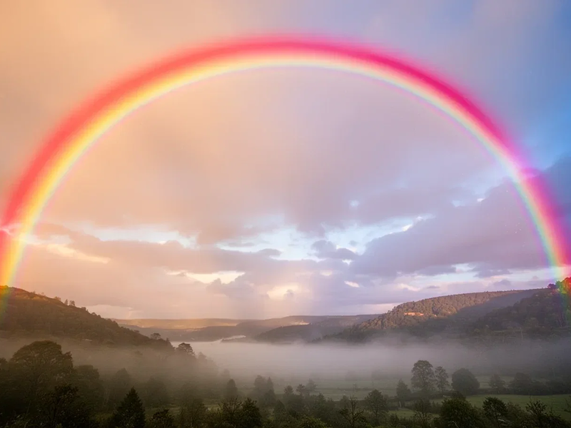 Regenbogen Aktie: Geschäftsbericht im Mai - Foto: über boerse-global.de