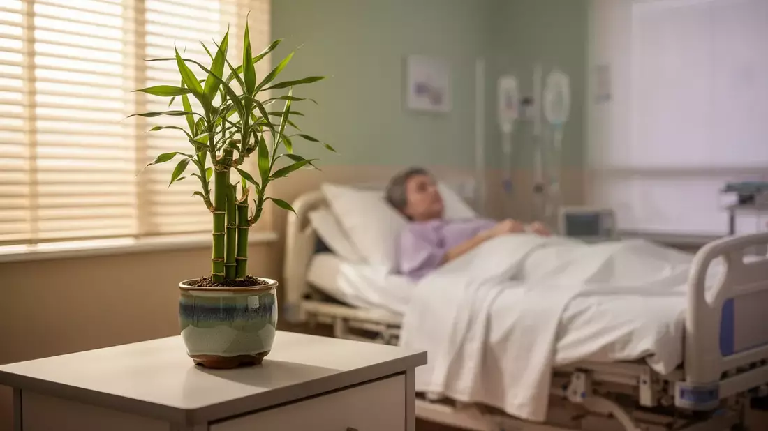 Traditionelle Chinesische Medizin senkt Erschöpfung bei Brustkrebs-Patientinnen drastisch - Bild: über boerse-global.de