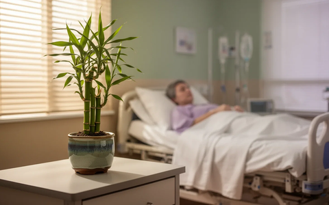 Traditionelle Chinesische Medizin senkt Erschöpfung bei Brustkrebs-Patientinnen drastisch - Foto: über boerse-global.de