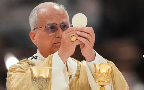 Papst Leo XIV. ist seit bald einem Jahr im Amt. - Foto: Andrew Medichini/AP/dpa