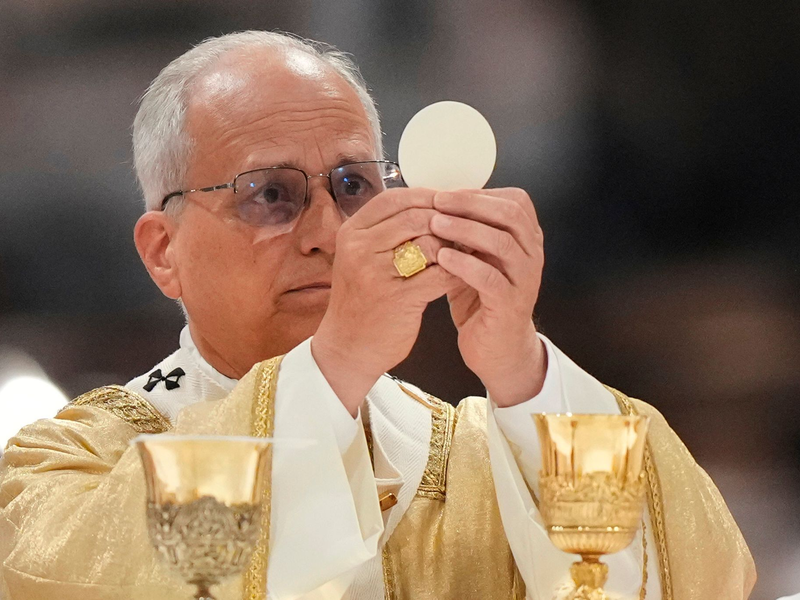Papst Leo XIV. ist seit bald einem Jahr im Amt. - Foto: Andrew Medichini/AP/dpa