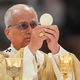 Papst Leo XIV. ist seit bald einem Jahr im Amt. - Foto: Andrew Medichini/AP/dpa