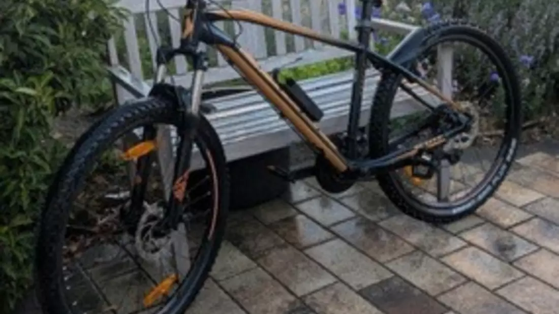 POL-PDPS: Fahrraddiebstahl - Zeugen gesucht - Bild: presseportal.de