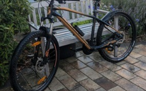 POL-PDPS: Fahrraddiebstahl - Zeugen gesucht - Foto: presseportal.de