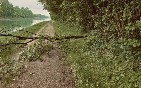 FW-Schermbeck: Baum blockierte Weg - Foto: presseportal.de