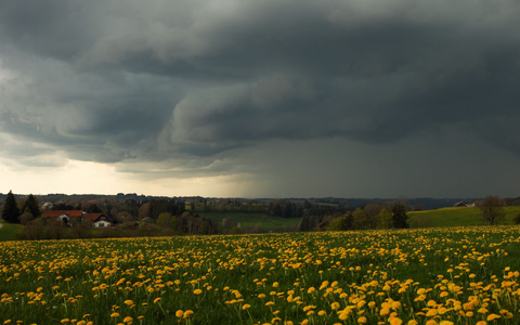 Dunkle Wolken und Gewitter wird es auch in den kommenden Tagen geben. (Archivbild) - Foto: Alexander Wolf/onw-images/dpa