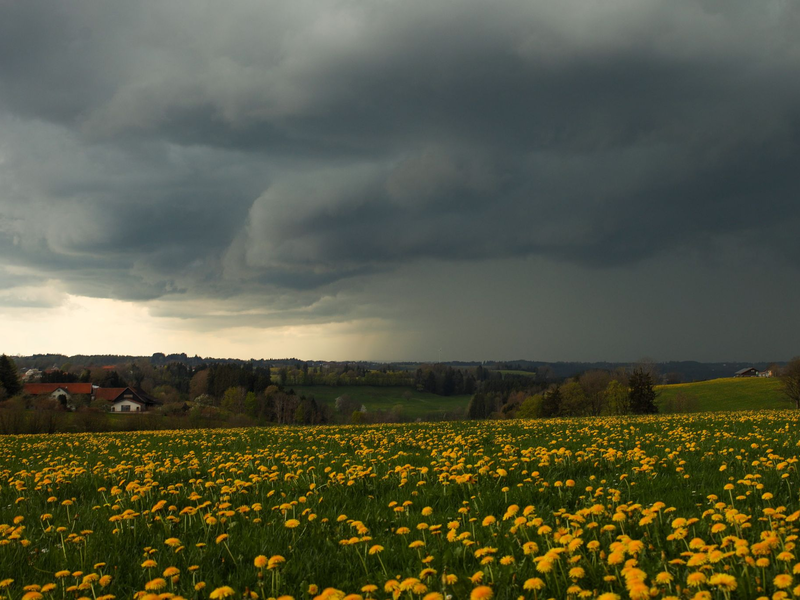 Dunkle Wolken und Gewitter wird es auch in den kommenden Tagen geben. (Archivbild) - Foto: Alexander Wolf/onw-images/dpa