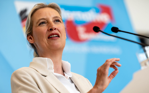 AfD-Chefin Weidel will mit einem Wahlsieg ihrer Partei bei den Landtagswahlen auch die Bundesregierung unter Druck setzen. (Archivbild) - Foto: Michael Kappeler/dpa