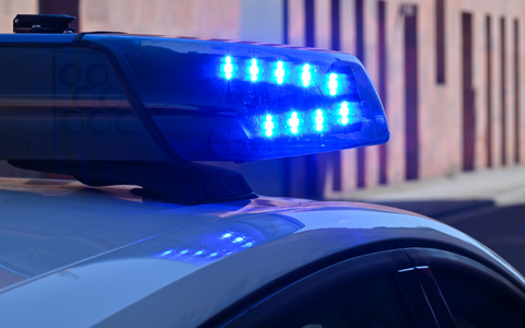Die Polizei befindet sich nach dem Fund einer Frauenleiche im Großeinsatz. (Symbolbild) - Foto: Patrick Pleul/dpa