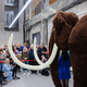 Das Mega-Mammut ist fertig.  - Foto: Rolf Vennenbernd/dpa