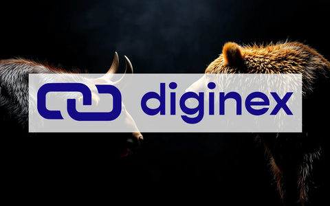 Diginex’s $1.5 Billion All-Stock Bet: A 30-Day Countdown Begins - Foto: über boerse-global.de