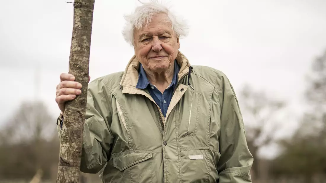 Der britische Naturforscher und Dokumentarfilmer David Attenborough feiert seinen 100. Geburtstag. (Archivbild) - Bild: Aaron Chown/PA Wire/dpa