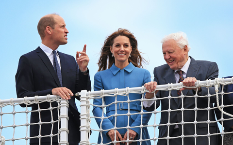 Prinz William baute im Laufe der Zeit eine enge Beziehung zu Attenborough auf. (Archivbild) - Foto: Peter Byrne/PA Wire/dpa