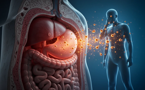 Cortisol, Kreatin und Kryo-Katheter: So verändert sich die Behandlung von Bauchfett - Foto: über boerse-global.de
