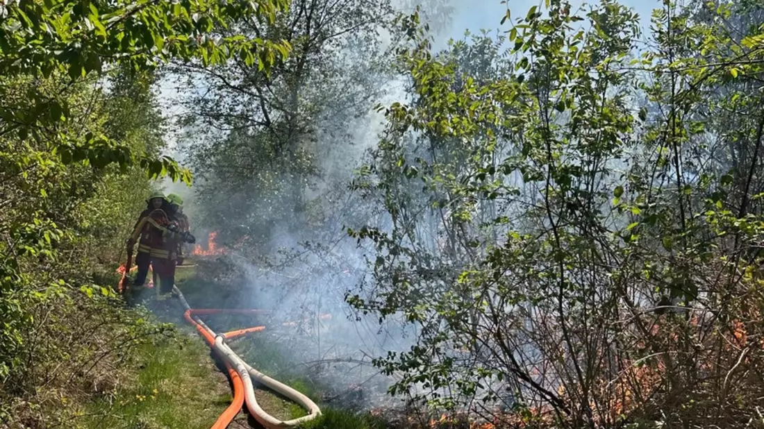 FW-SE: Feuer in einem Waldgebiet in Kaltenkirchen - Bild: presseportal.de
