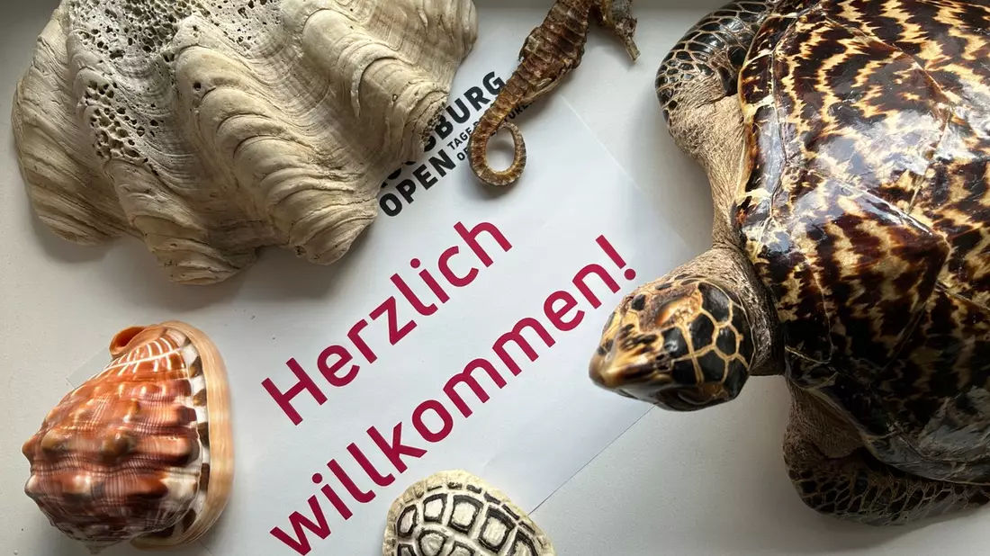 HZA-A: Augsburg Open beim Hauptzollamt Augsburg/Einblicke in die Aufgabenvielfalt des Zolls - Bild: presseportal.de
