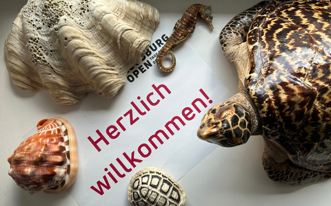 HZA-A: Augsburg Open beim Hauptzollamt Augsburg/Einblicke in die Aufgabenvielfalt des Zolls - Foto: presseportal.de