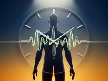 Chrononutrition: Essens-Timing senkt biologisches Alter - Foto: über boerse-global.de