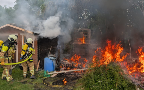 FW Dresden: Brand von Gartenlauben - Foto: presseportal.de