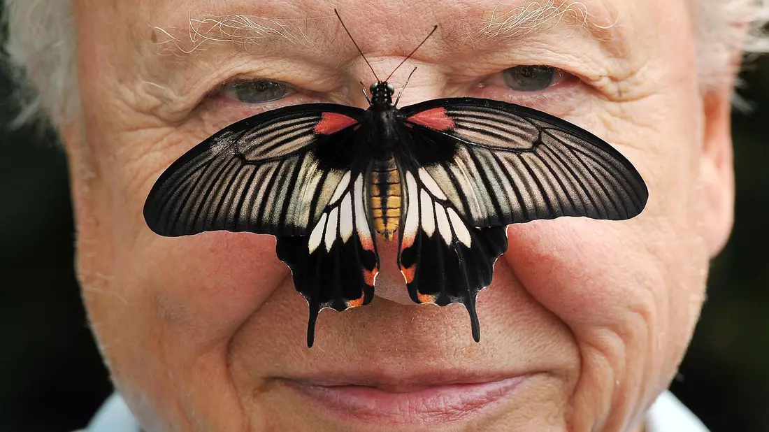Zu seinem 100. Geburtstag erhielt David Attenborough einen persönlichen Brief von König Charles. (Archivfoto) - Bild: John Stillwell/PA Wire/dpa