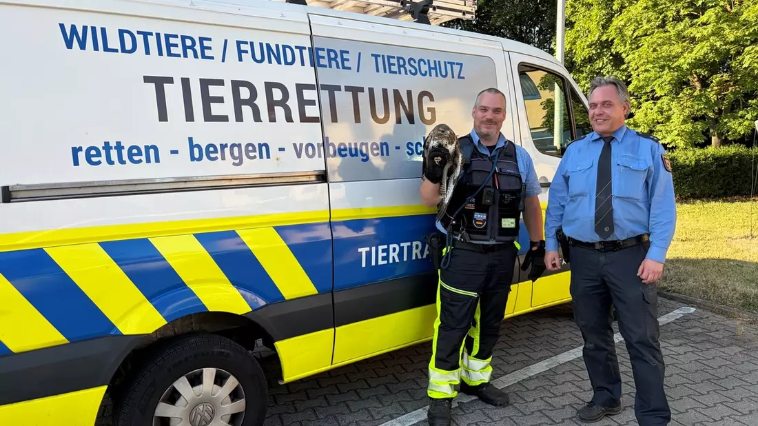 POL-PDNW: Tierische Rettungsaktion - Verletzter Greifvogel in Not auf der BAB65 - Bild: presseportal.de