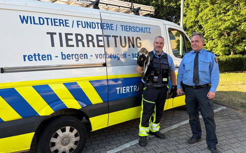 POL-PDNW: Tierische Rettungsaktion - Verletzter Greifvogel in Not auf der BAB65 - Foto: presseportal.de