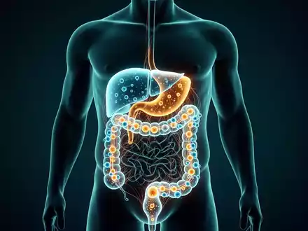Metformin wirkt im Darm: Neue Ära für Stoffwechsel-Therapien - Foto: über boerse-global.de
