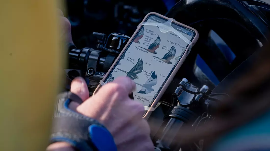 Vogel-Bestimmung via Smartphone. - Bild: Fabian Sommer/dpa