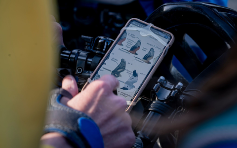 Vogel-Bestimmung via Smartphone. - Foto: Fabian Sommer/dpa