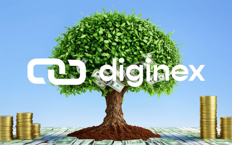 Diginex’s $1.5 Billion All-Stock Deal Collides With a $42 Million Market Reality - Foto: über boerse-global.de