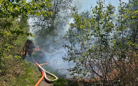 FW-SE: Anzahl der Vegetationsbrände steigt - Foto: presseportal.de