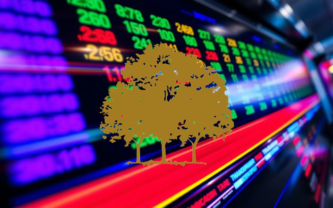 Canopy Growth Narrows Focus Ahead of Earnings: Medical Margins and US Policy Shift in Sight - Foto: über boerse-global.de