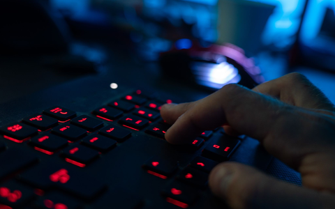 Jeder neunte Internetnutzer in Deutschland (11 Prozent) wurde im vergangenen Jahr Opfer von Cyberkriminalität. (Symbolbild) - Foto: Nicolas Armer/dpa